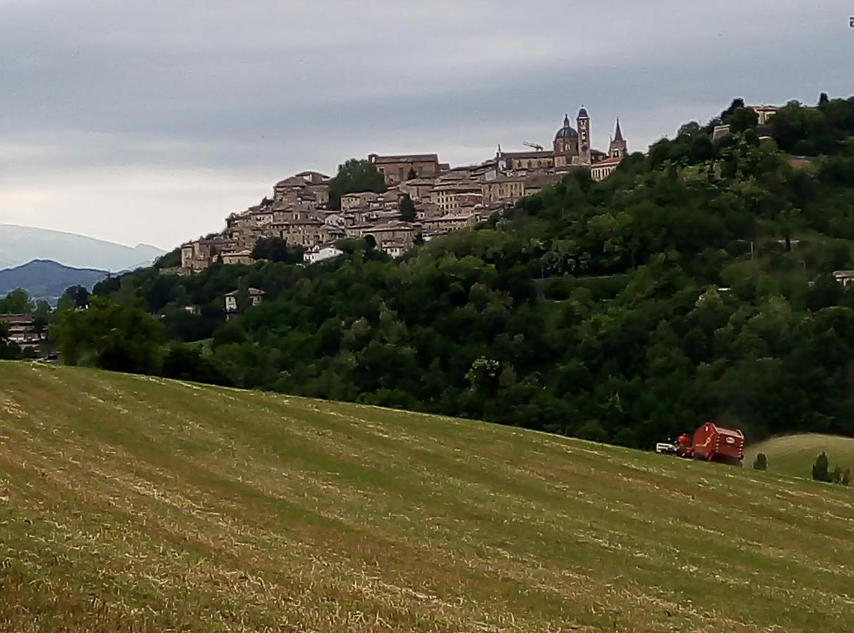 B&B Il Monchetto Urbino Exterior photo